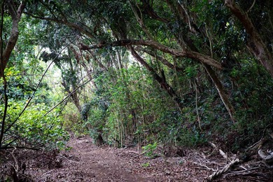 Welcome to one of Waiehu's most compelling properties. This - photo 11