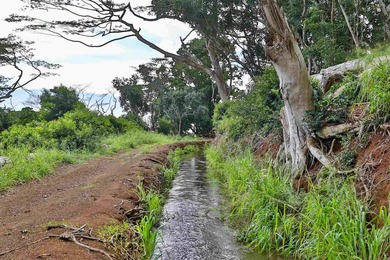 Welcome to one of Waiehu's most compelling properties. This - photo 14
