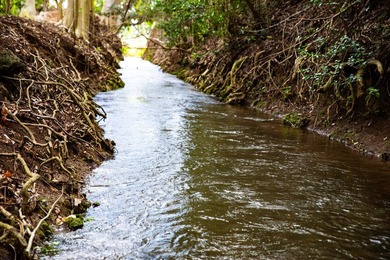 Welcome to one of Waiehu's most compelling properties. This - photo 15