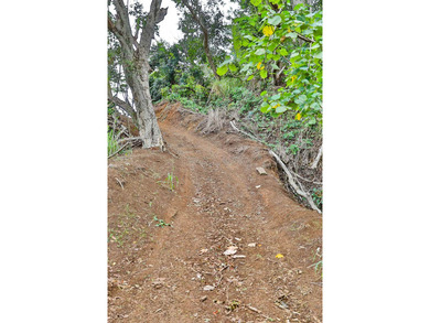 Welcome to one of Waiehu's most compelling properties. This - photo 16