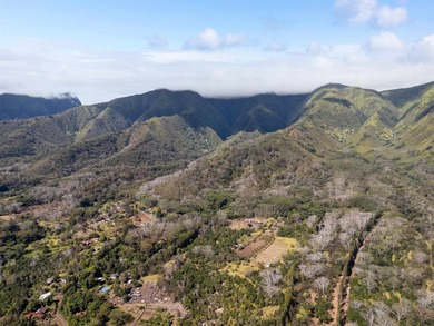Welcome to one of Waiehu's most compelling properties. This - photo 17