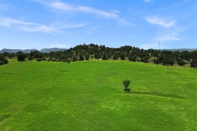 Known by the locals as the 4S Ranch for its tremendous dove - photo 7