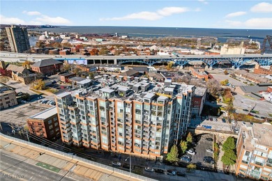 Lake Erie - Cuyahoga County Condo For Sale in Cleveland Ohio