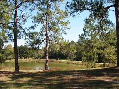 Beautiful land/lots in Wanee Lakes Golf Country Club surrounding - photo 11