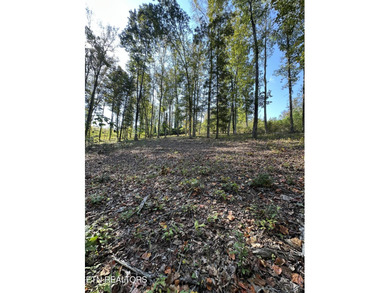 Premier Lake View Lot at Stardust Marina, Norris Lake Discover - photo 11