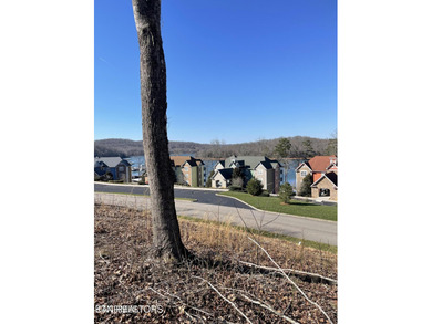 Premier Lake View Lot at Stardust Marina, Norris Lake Discover - photo 12