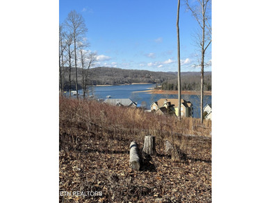 Premier Lake View Lot at Stardust Marina, Norris Lake Discover - photo 13