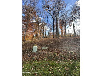 Premier Lake View Lot at Stardust Marina, Norris Lake Discover - photo 14