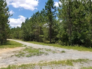 Beautiful land/lots in Wanee Lakes Golf Country Club surrounding - photo 15