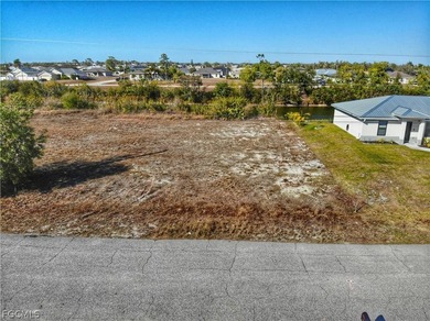 Welcome to Northwest Cape Coral, a rapidly evolving enclave - photo 15