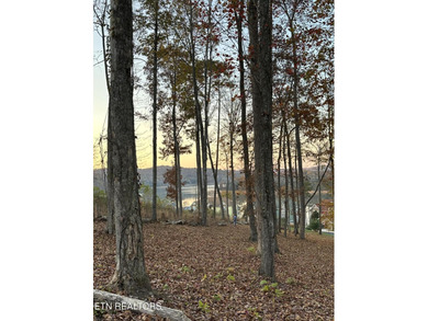 Premier Lake View Lot at Stardust Marina, Norris Lake Discover - photo 15