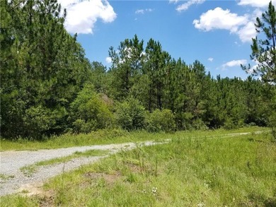 Beautiful land/lots in Wanee Lakes Golf Country Club surrounding - photo 16