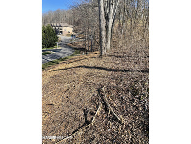Premier Lake View Lot at Stardust Marina, Norris Lake Discover - photo 16