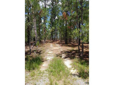 Beautiful land/lots in Wanee Lakes Golf Country Club surrounding - photo 17