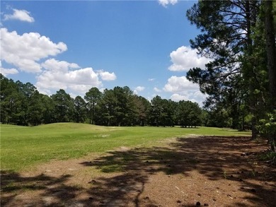 Beautiful land/lots in Wanee Lakes Golf Country Club surrounding - photo 18