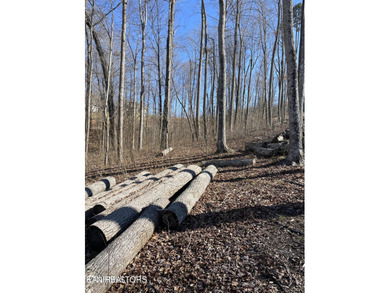 Premier Lake View Lot at Stardust Marina, Norris Lake Discover - photo 18