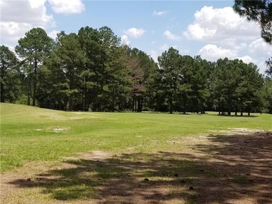 Beautiful land/lots in Wanee Lakes Golf Country Club surrounding - photo 19