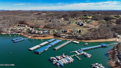 Premier Lake View Lot at Stardust Marina, Norris Lake Discover - photo 19