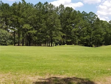 Beautiful land/lots in Wanee Lakes Golf Country Club surrounding - photo 20