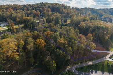 Premier Lake View Lot at Stardust Marina, Norris Lake Discover - photo 22