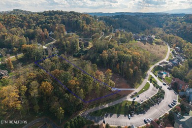 Premier Lake View Lot at Stardust Marina, Norris Lake Discover - photo 23
