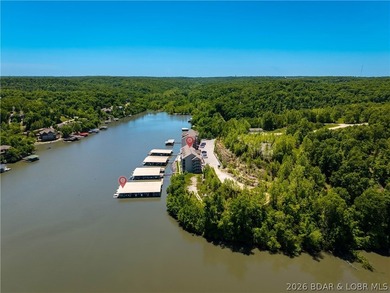 This is the kind of lake condo people wait for-top-floor views - photo 47