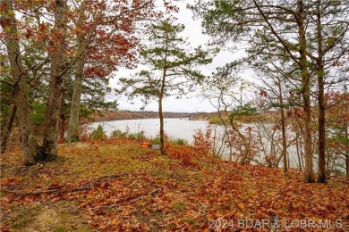 Lake of the Ozarks Acreage For Sale in Edwards Missouri