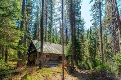 Nestled in the heart of Montana's unspoiled wilderness, this - photo 8
