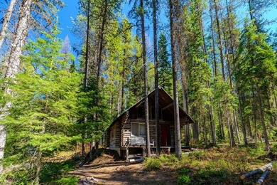 Nestled in the heart of Montana's unspoiled wilderness, this - photo 10