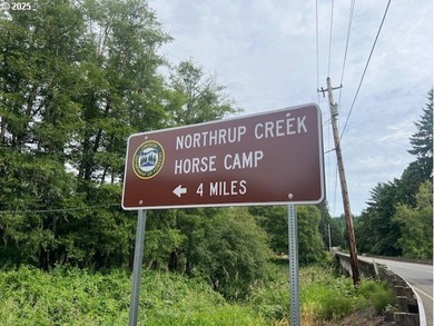 Here is an opportunity for a great recreational property. This - photo 12