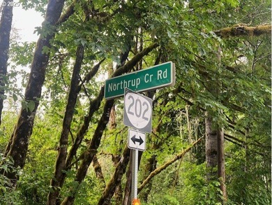 Here is an opportunity for a great recreational property. This - photo 13