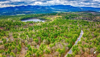 A beloved fisherman's getaway located in the Ausable Acres - photo 23