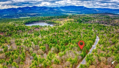A beloved fisherman's getaway located in the Ausable Acres - photo 24