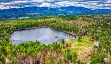 A beloved fisherman's getaway located in the Ausable Acres - photo 29