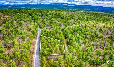 A beloved fisherman's getaway located in the Ausable Acres - photo 30