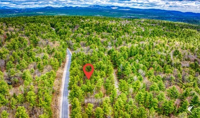 A beloved fisherman's getaway located in the Ausable Acres - photo 31