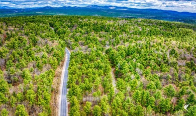 A beloved fisherman's getaway located in the Ausable Acres - photo 32