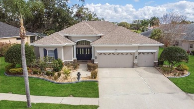 Lake Home Sale Pending in Trinity, Florida