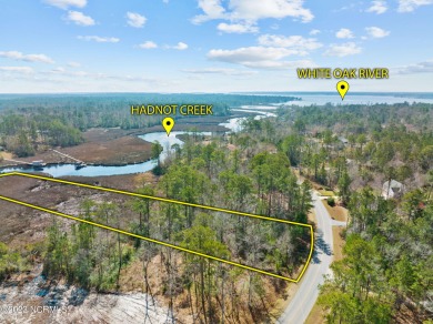 White Oak River - Carteret County Acreage For Sale in Stella North Carolina