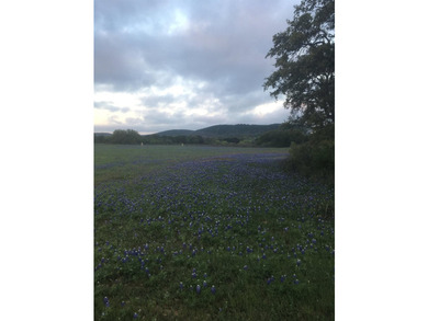 38 +/- acres in Sendero Ridge- horse ready, private & - photo 11