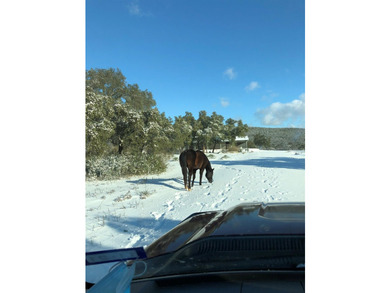 38 +/- acres in Sendero Ridge- horse ready, private & - photo 13