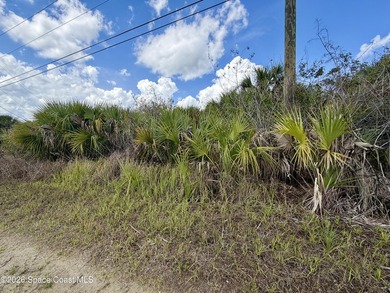 This lot offers a rare find with no NOA requirements and - photo 3