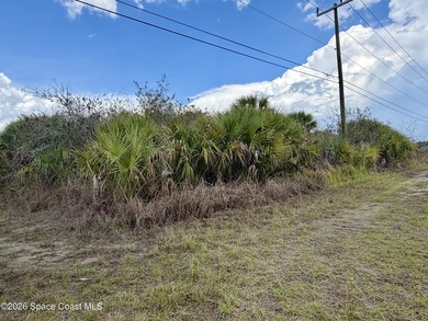 This lot offers a rare find with no NOA requirements and - photo 4
