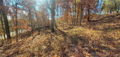 Lake of the Ozarks Acreage For Sale in Lake Ozark Missouri