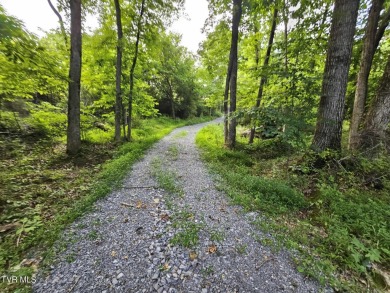 Boone Lake Acreage For Sale in Piney Flats Tennessee