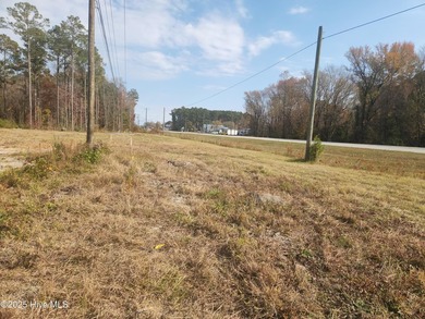 90 Acres of Land with City of New Bern Water and Sewer available - photo 5