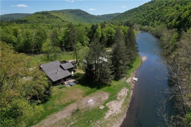 Delaware River - Delaware County Home For Sale in Colchester New York