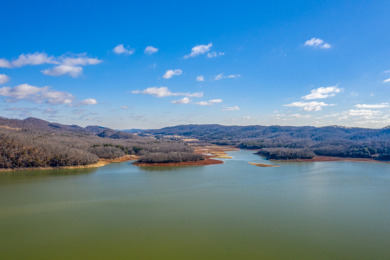 Gorgeous Views Of Cherokee Lake - photo 10