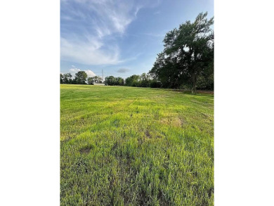 Lake Lot For Sale in Dodd City, Texas