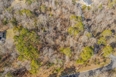 Gorgeous Views Of Cherokee Lake - photo 7